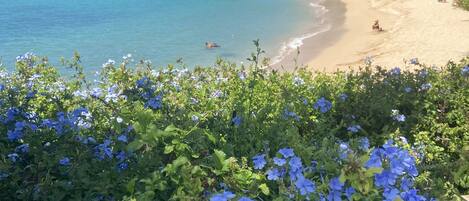Aan het strand, ligstoelen aan het strand