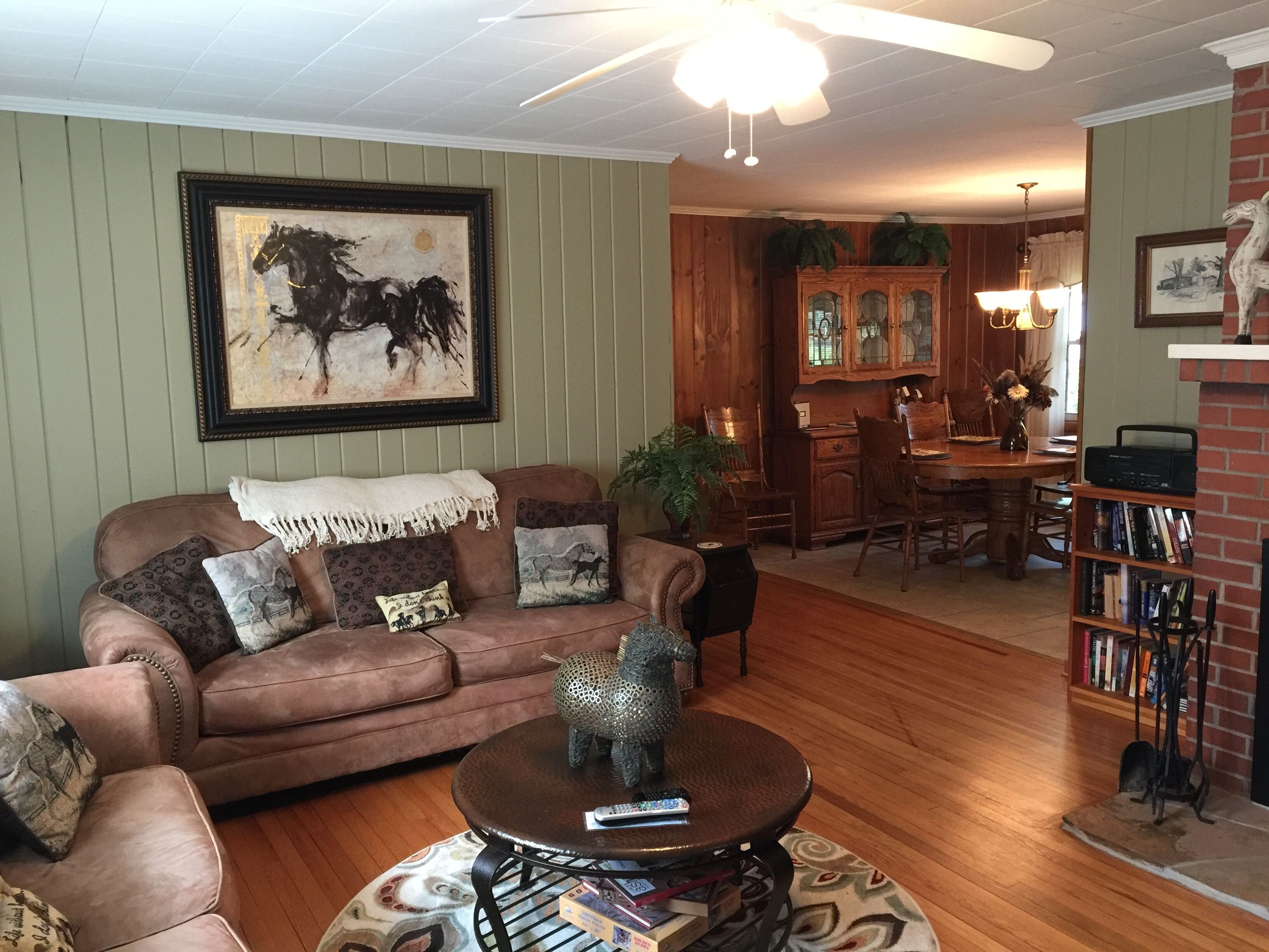 Smart TV, fireplace, DVD player, books