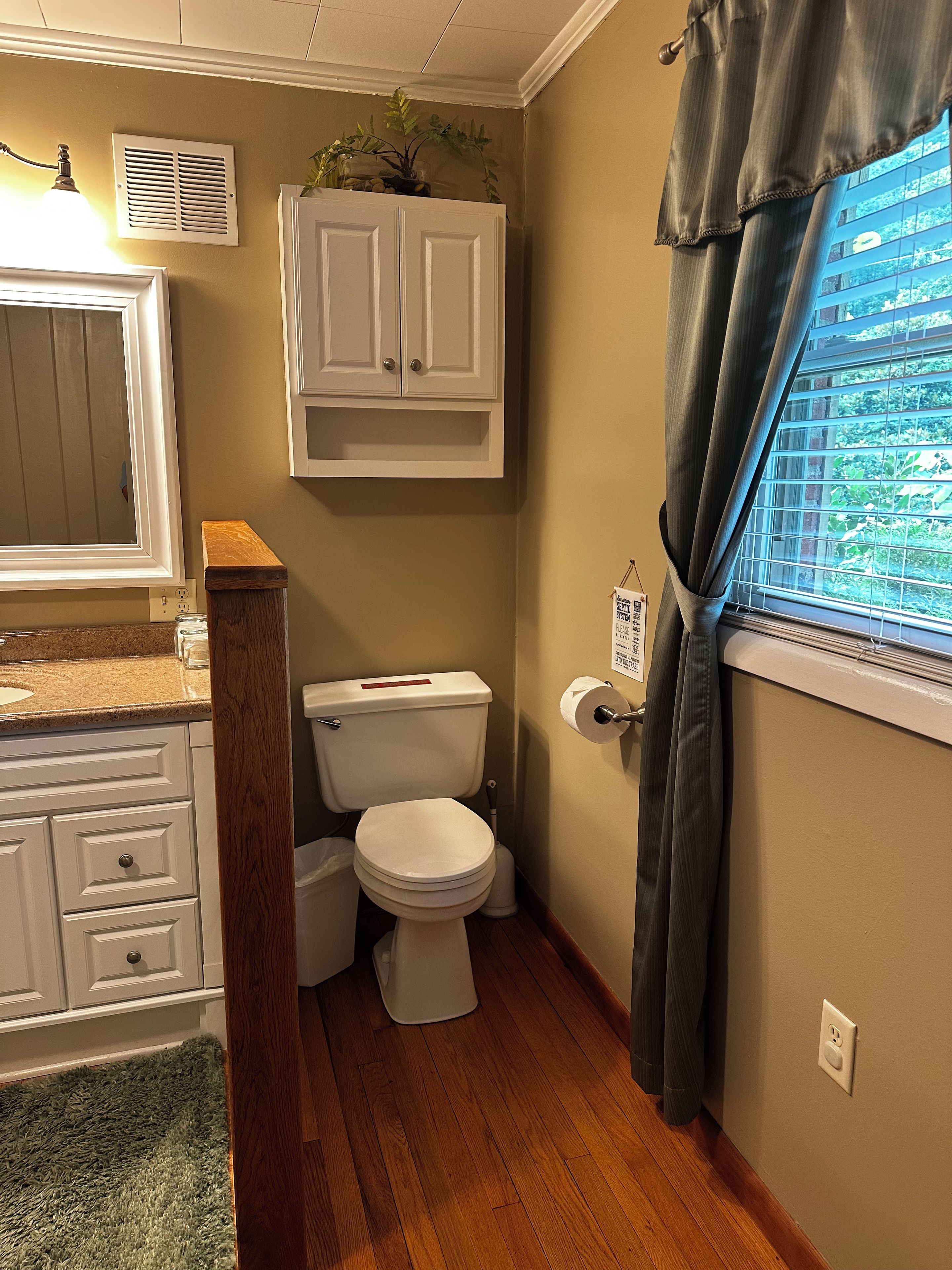 Een badkamer met toilet, wastafel, kast, gordijnen voor het raam en een plant aan de muur.