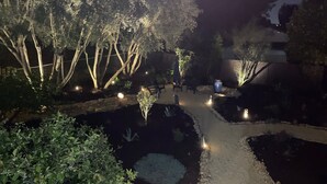 A nighttime garden with pathways, trees, and illuminated plants.