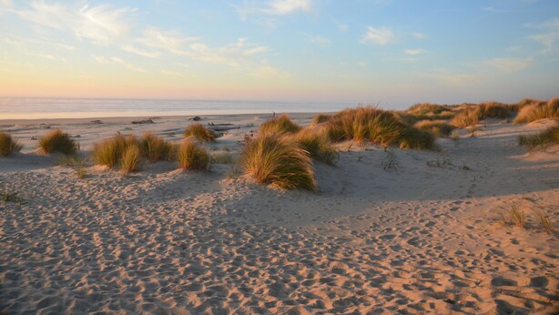 Ein Sandstrand mit Dünen und blauem Himmel.