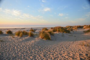 Una playa arenosa con dunas y cielo despejado.