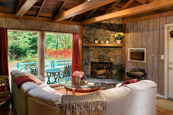 Smart TV, fireplace, DVD player, books