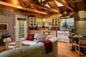 Smart TV, fireplace, DVD player, books