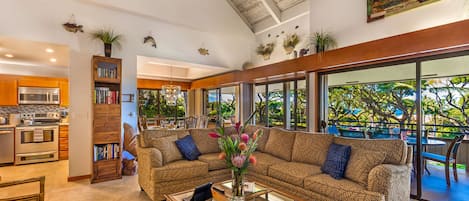 Smart TV, DVD player, books, video library