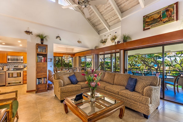 Smart TV, DVD player, books, video library