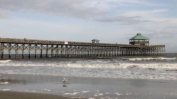 Playa en los alrededores y camastros