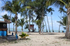 On the beach, sun loungers, beach towels