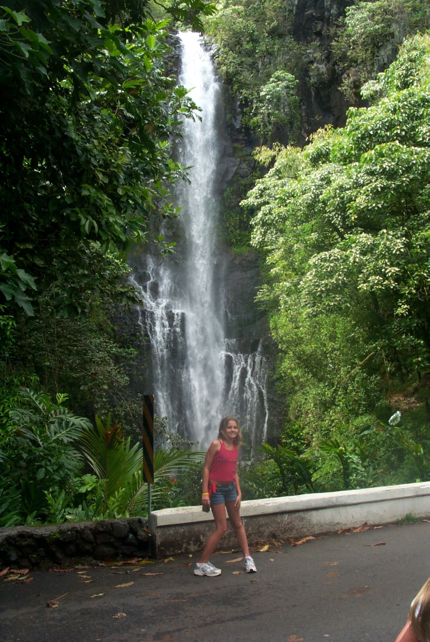 Une cascade au cœur d’un environnement luxuriant et verdoyant.
