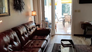 Smart TV, DVD player, books, video library