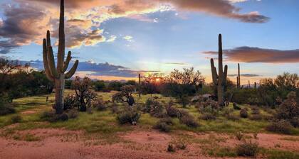 Sunrise Sunset Desert Oasis Home 3BR 2BA W Tucson Views Every Window Stargazing