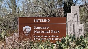 A sign for Saguaro National Park with a clear entrance and surrounding cacti. - Endless Tucson Desert Views 3Br2Ba Home 2 Acres Garage Arcade Games Nature Oasis (Tucson)
