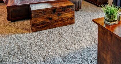 Saguaron koti lähellä aavikkomuseota