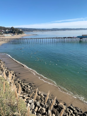 Toallas de playa 