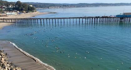 Monterey Peninsula Area Seaside Guest House