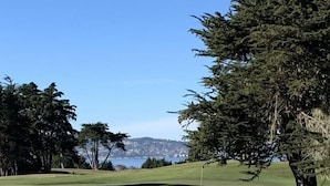Un parcours de golf avec des bunkers de sable, des arbres et un ciel dégagé.