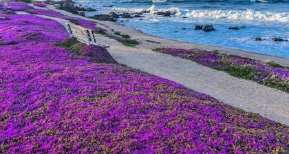 Monterey Peninsula Area Seaside Guest House