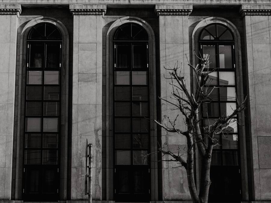 A building facade with three arched windows and a tree in front.
