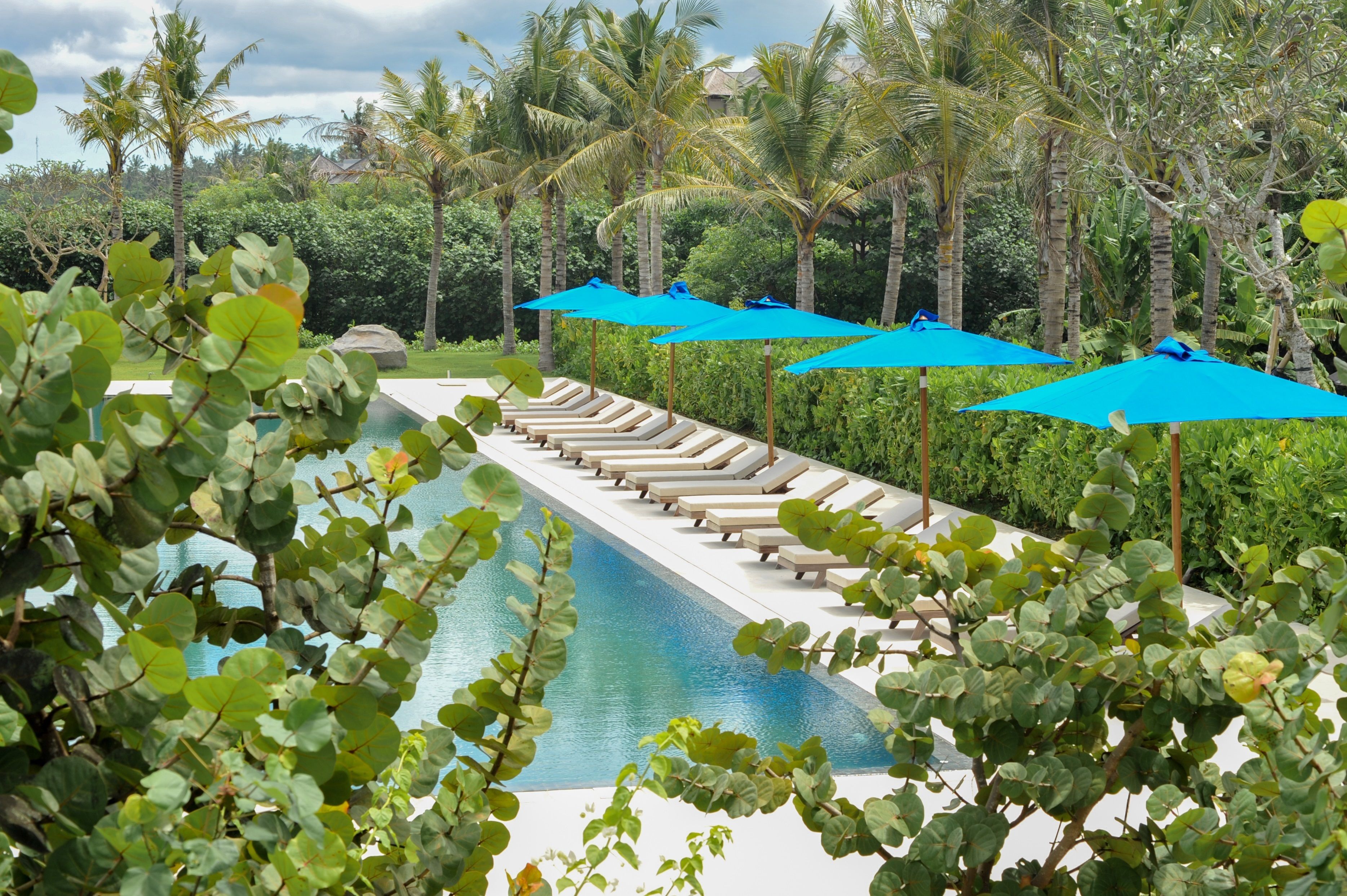 A poolside area with lounge chairs and blue umbrellas, surrounded by lush greenery and palm trees.