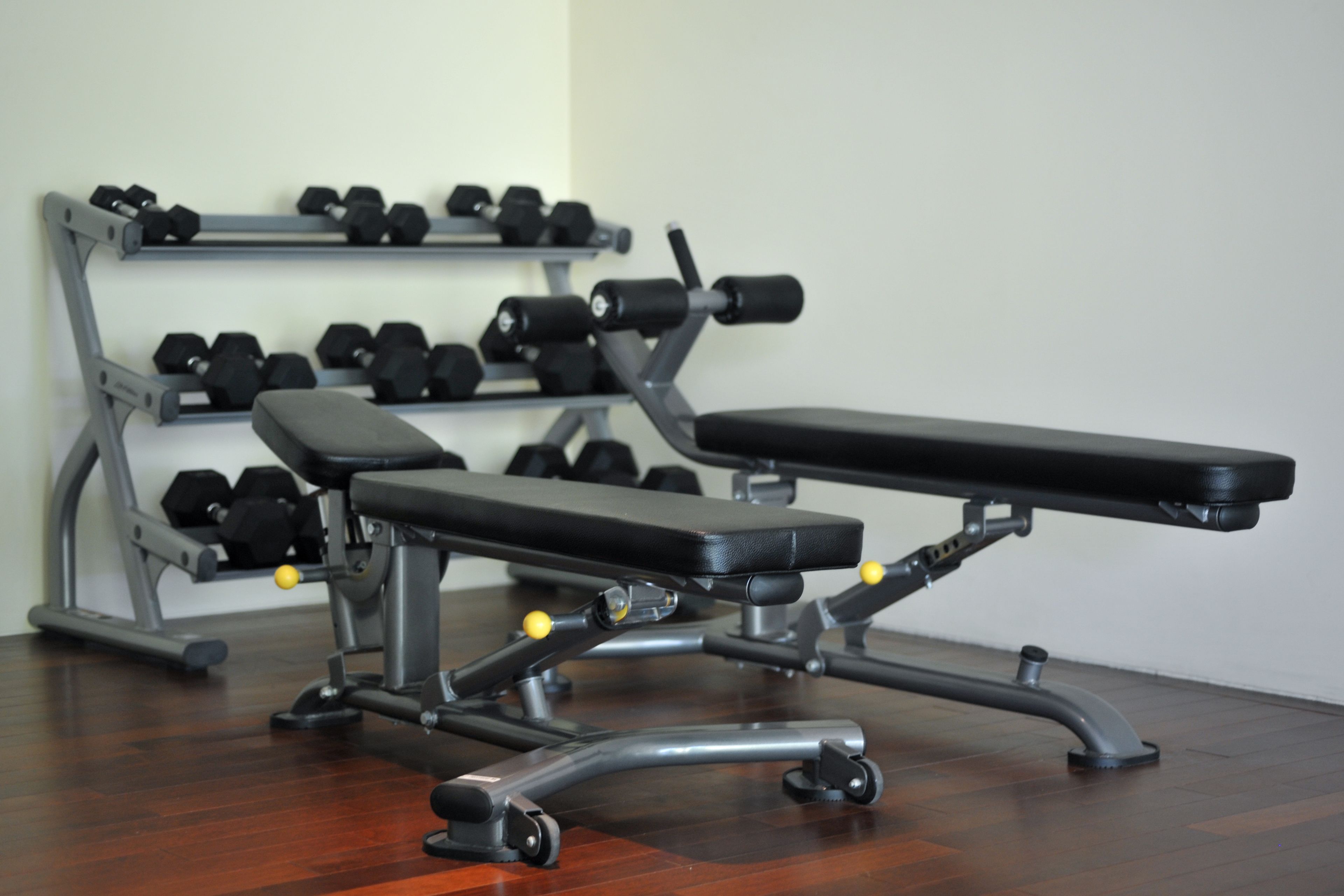 A gym with a bench and dumbbells.