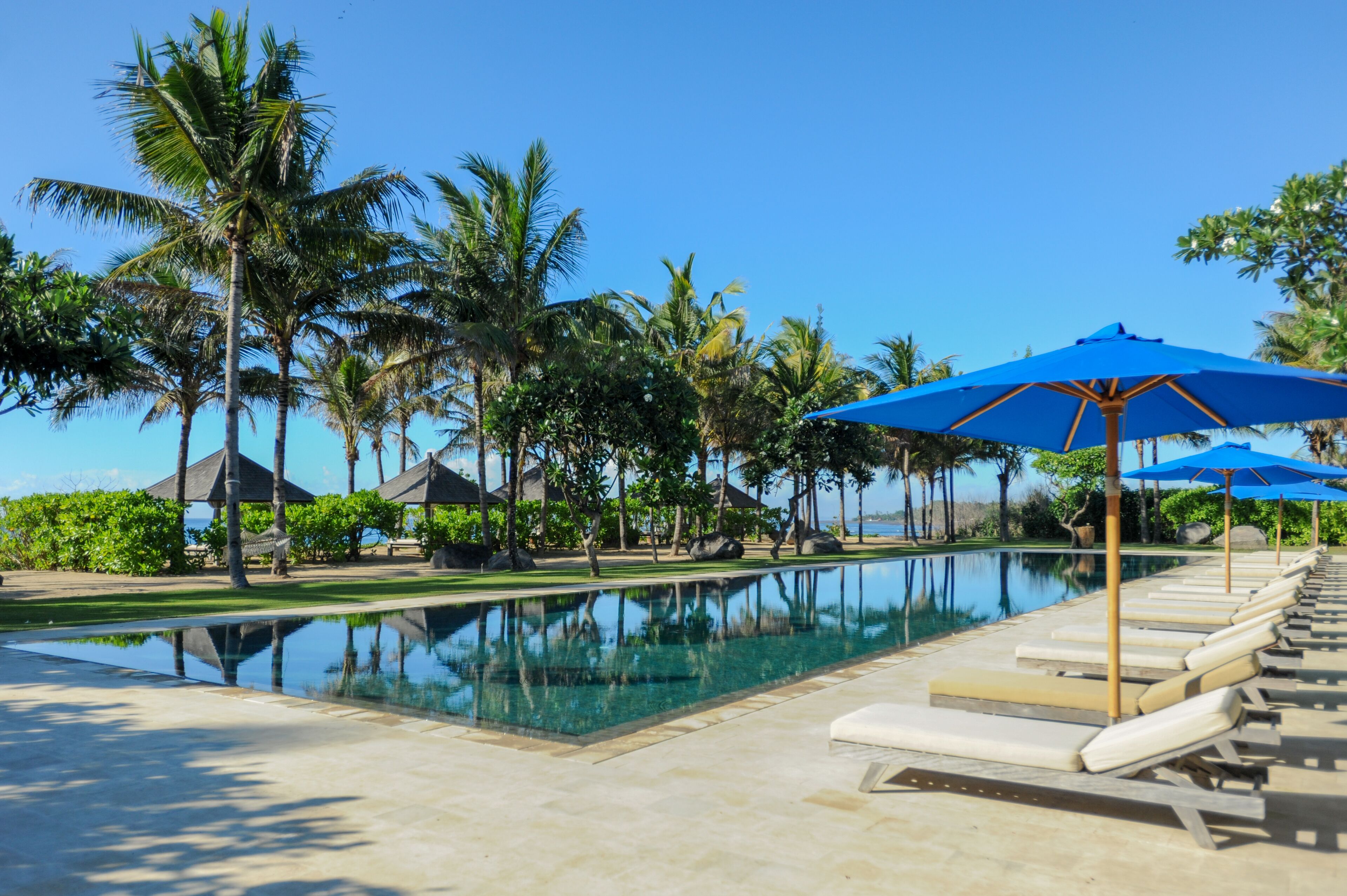 A poolside area with lounge chairs and umbrellas, surrounded by palm trees and a clear sky.