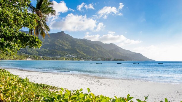 A beach with clear blue water, boats, and lush greenery.