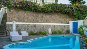 A swimming pool with a stone wall and a blue door, surrounded by potted plants and outdoor furniture.