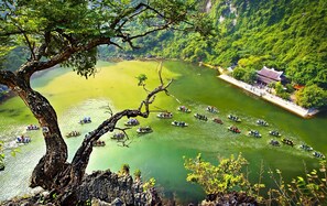 Ein Fluss mit mehreren Booten, ein großer Baum und ein traditionelles Gebäude auf der rechten Seite.