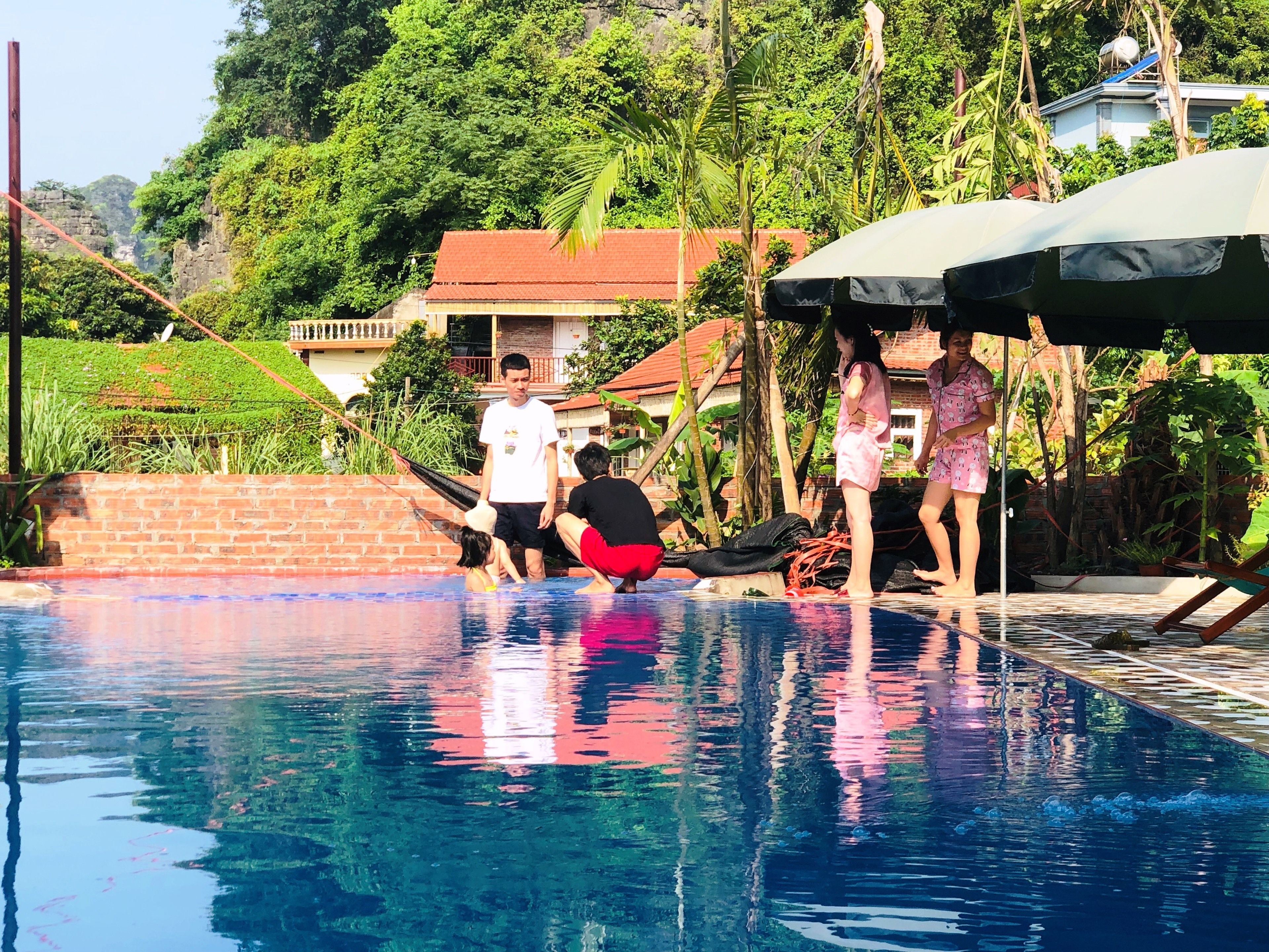 Outdoor pool, sun loungers
