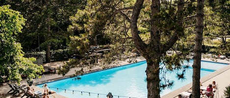 Seasonal outdoor pool, pool loungers