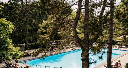 Badhotel Rockanje & Brasserie Lodgers