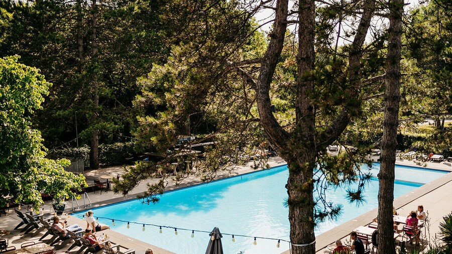 Badhotel Rockanje & Brasserie Lodgers