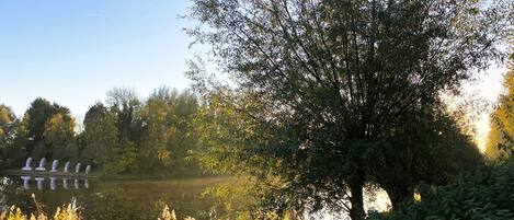 A serene lakeside setting with a large tree and a row of white structures along the water's edge.