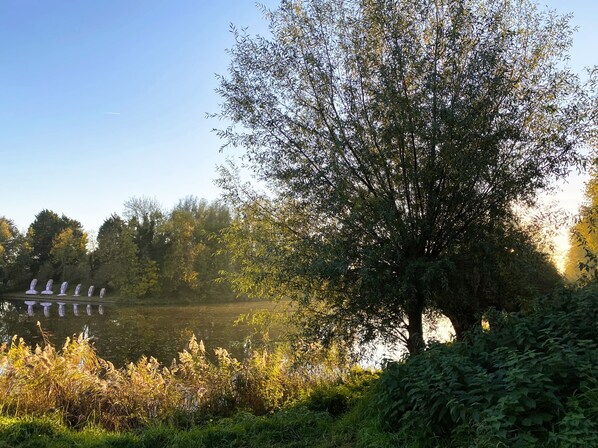 A serene lakeside setting with a large tree and a row of white structures along the water's edge. - Badhotel Rockanje & Brasserie Lodgers (Rockanje)