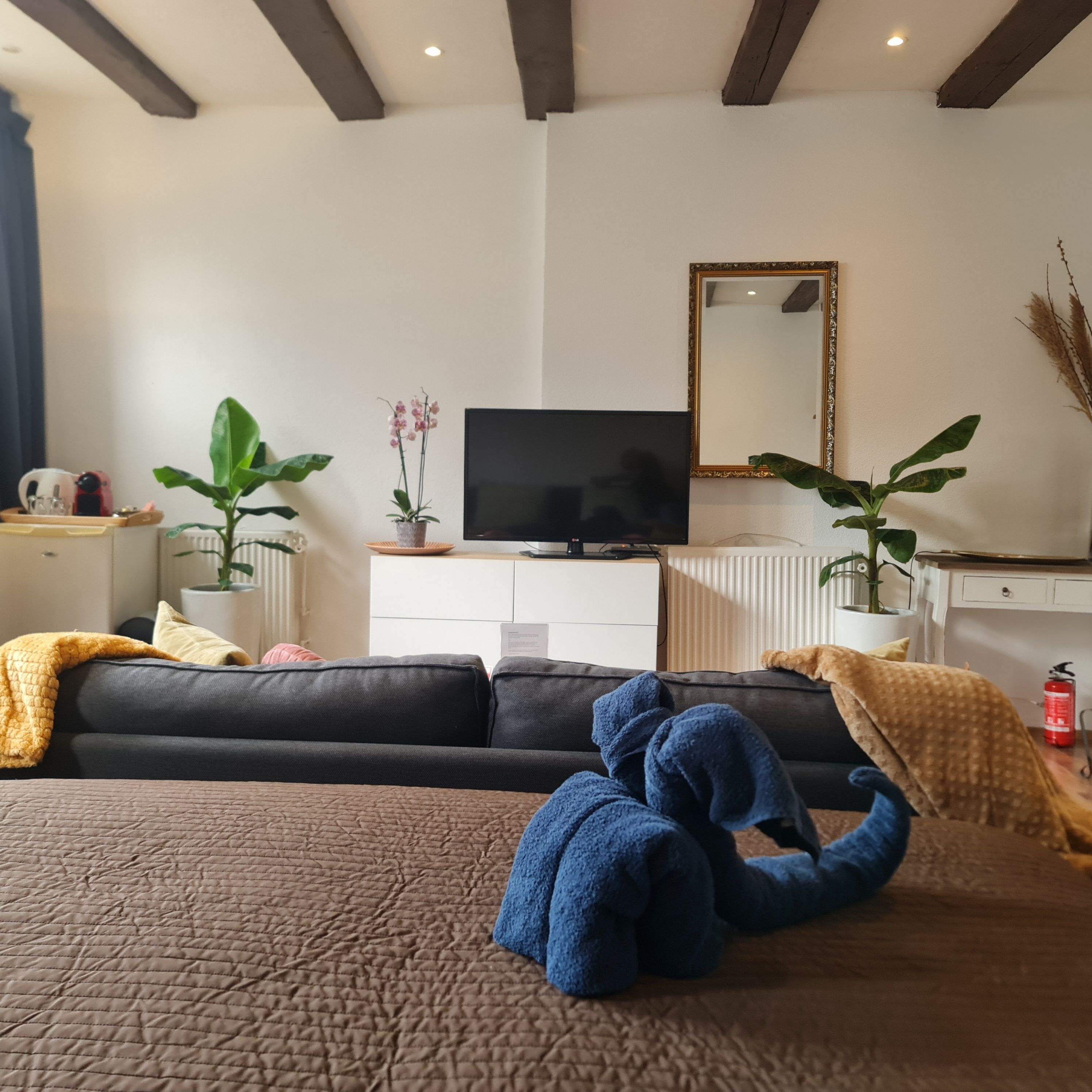 Foto - Crown Guesthouse Amsterdam