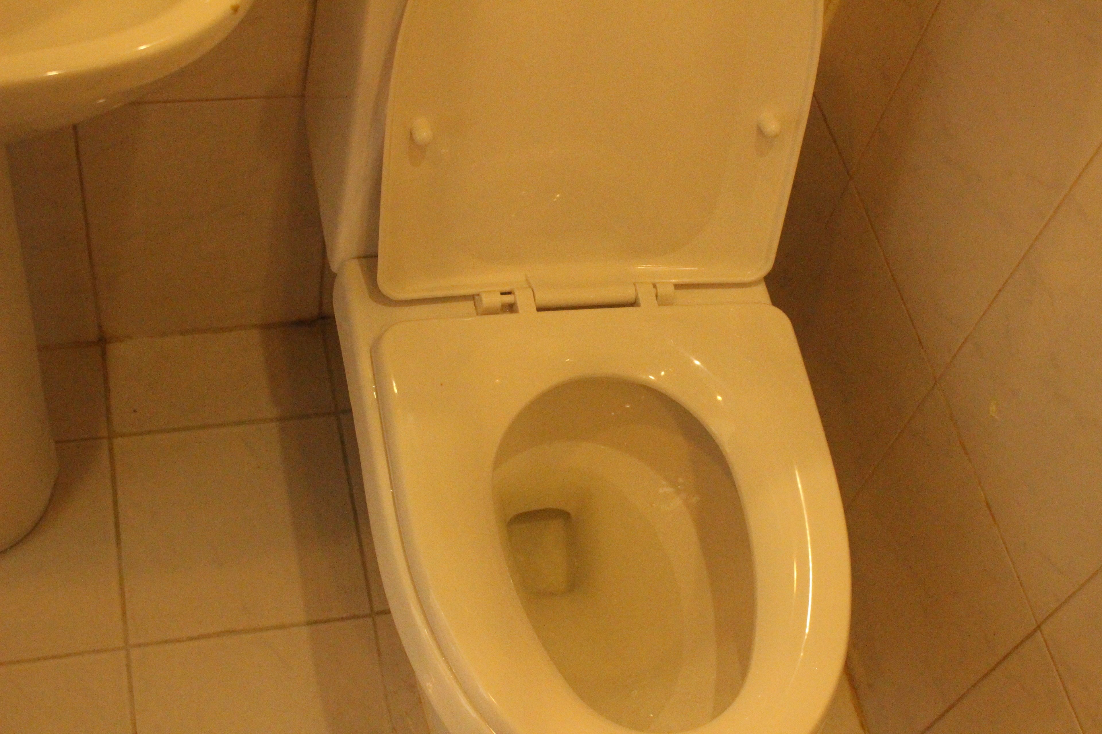 Shower, free toiletries, hair dryer, slippers