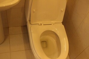 Shower, free toiletries, hair dryer, slippers