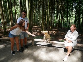 Children's activities