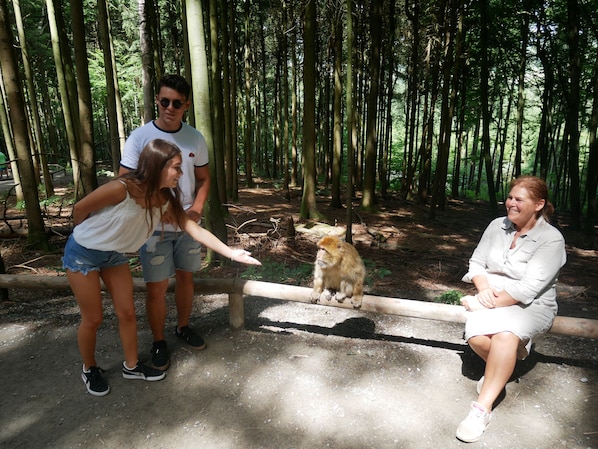 Children’s activities