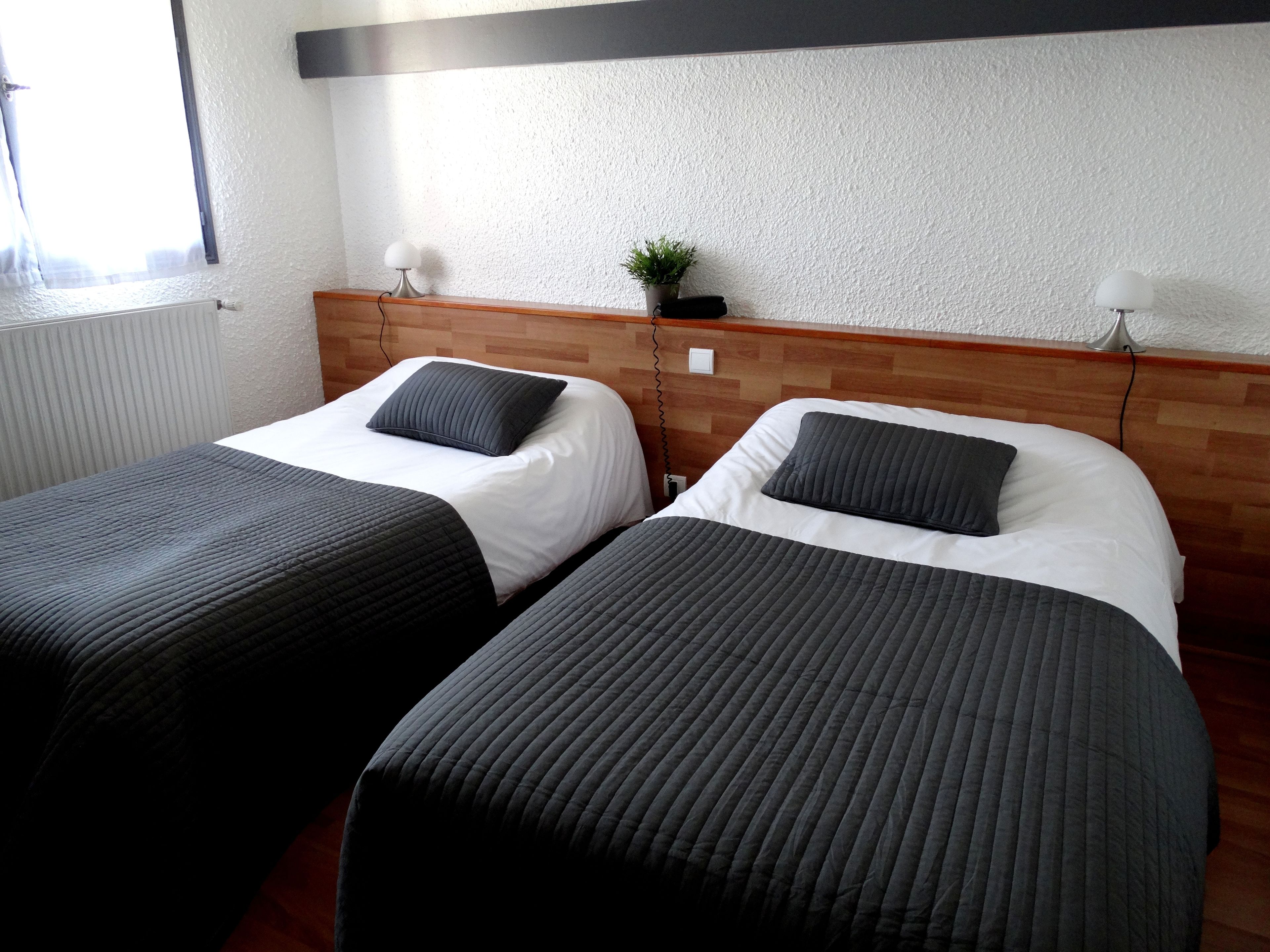 Dos camas individuales con ropa de cama oscura, un cabecero de madera, una pequeña planta en maceta y un radiador.