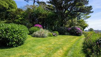 A well-maintained garden with a variety of plants and trees, a clear path, and a bench.