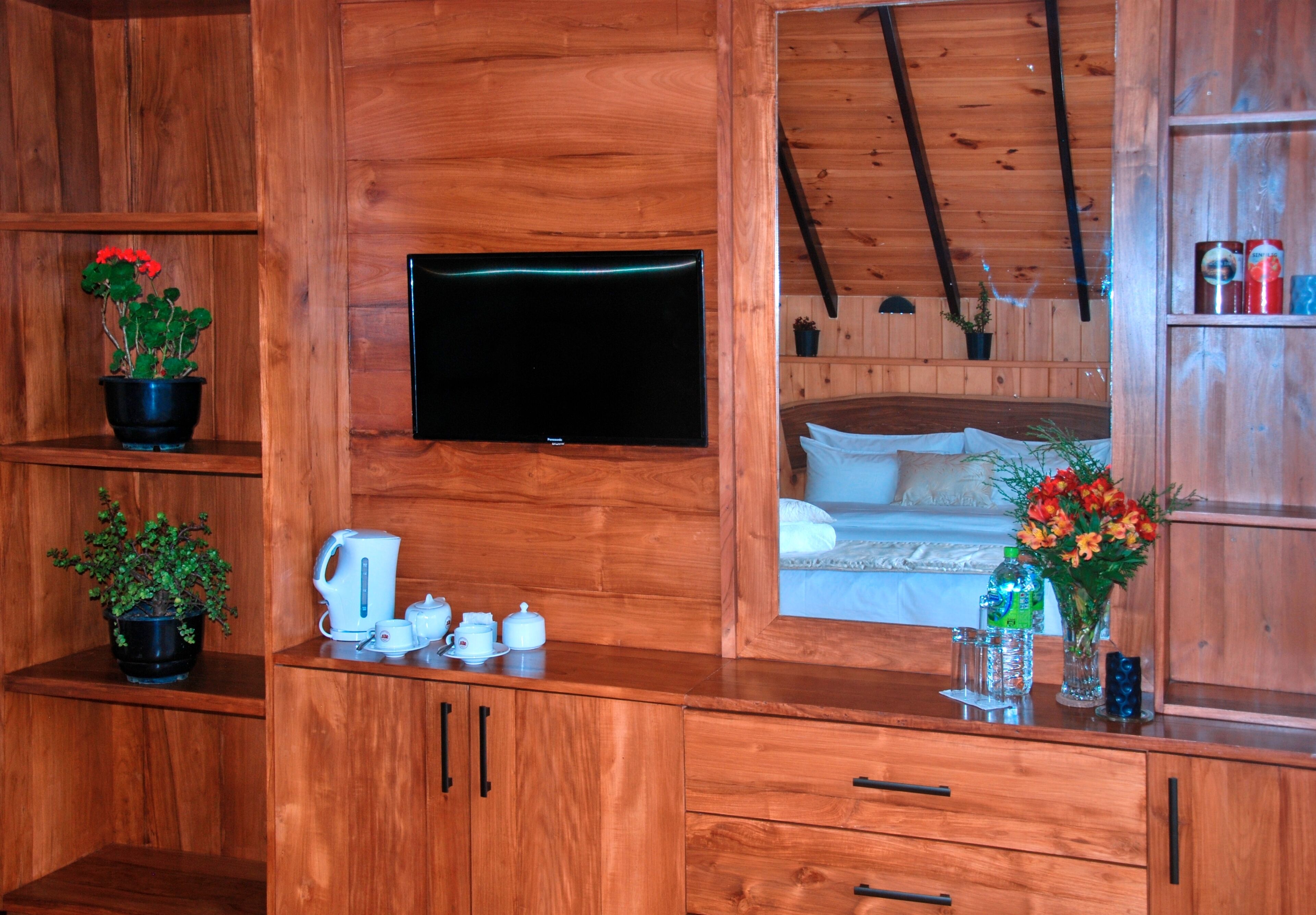 Interieur van een houten chalet met een tv aan de muur, een bed met kussens, een koffiehoek en planken met potplanten.