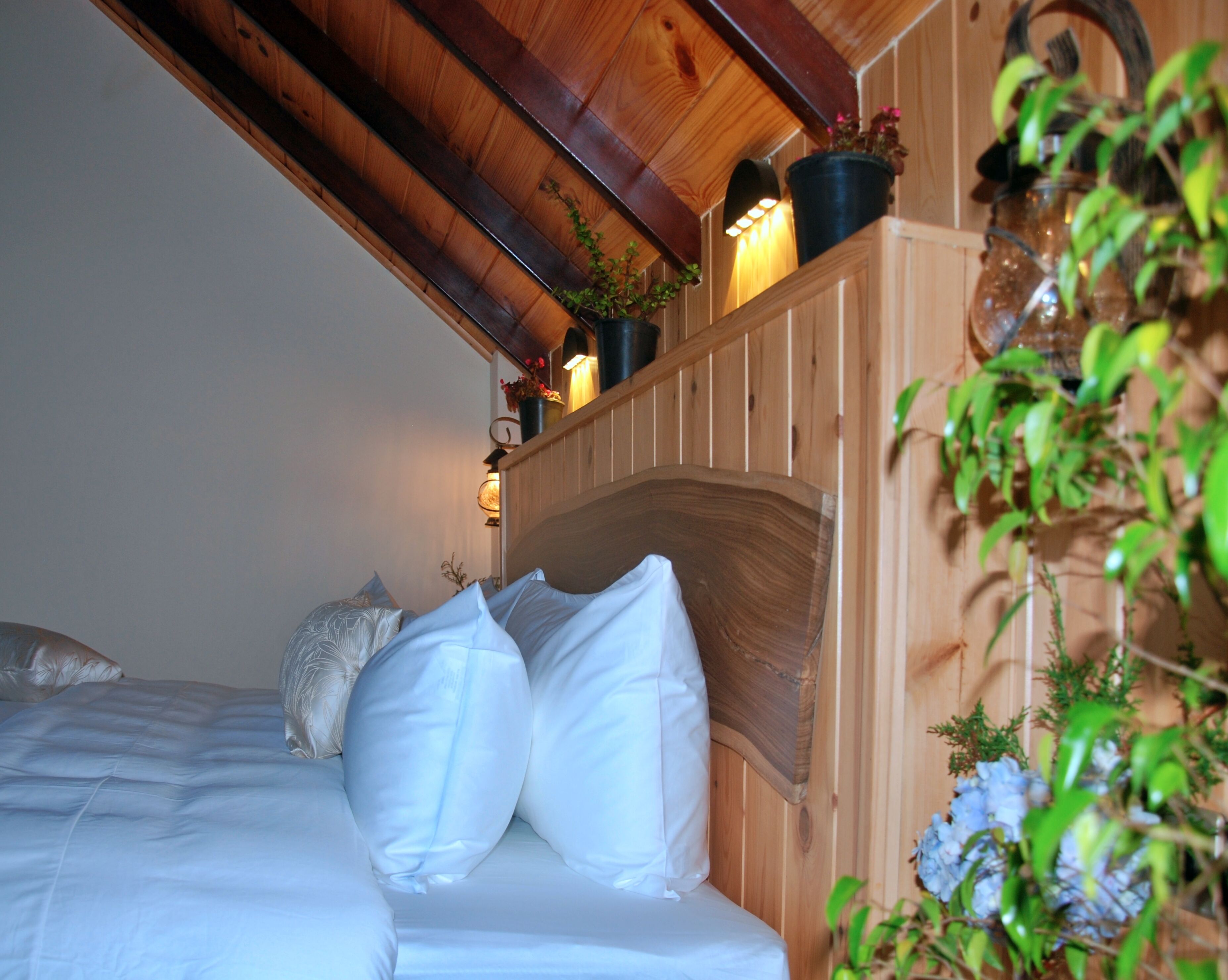 A wooden bed with white bedding, a headboard with a curved design, and a small potted plant on the headboard.