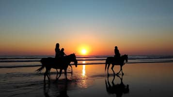 Reiten