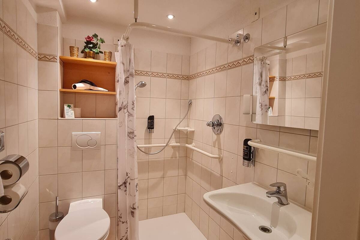 vip room | bathroom | shower, free toiletries, hair dryer, towels