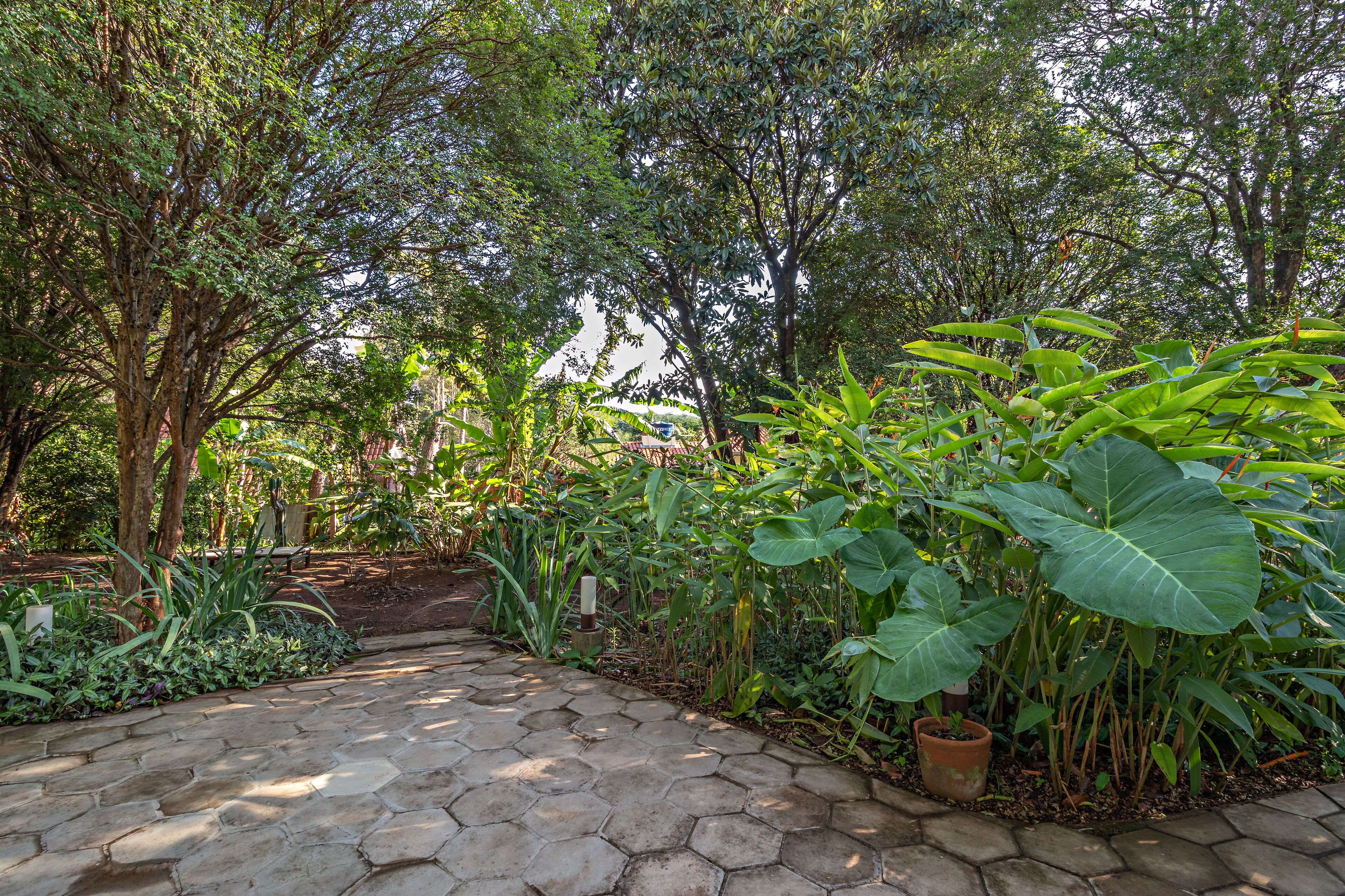 Jardim