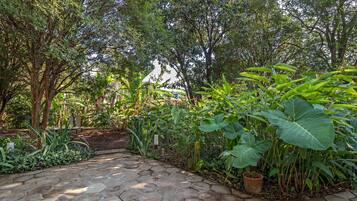 Jardim