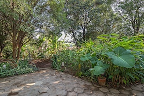 Taman
