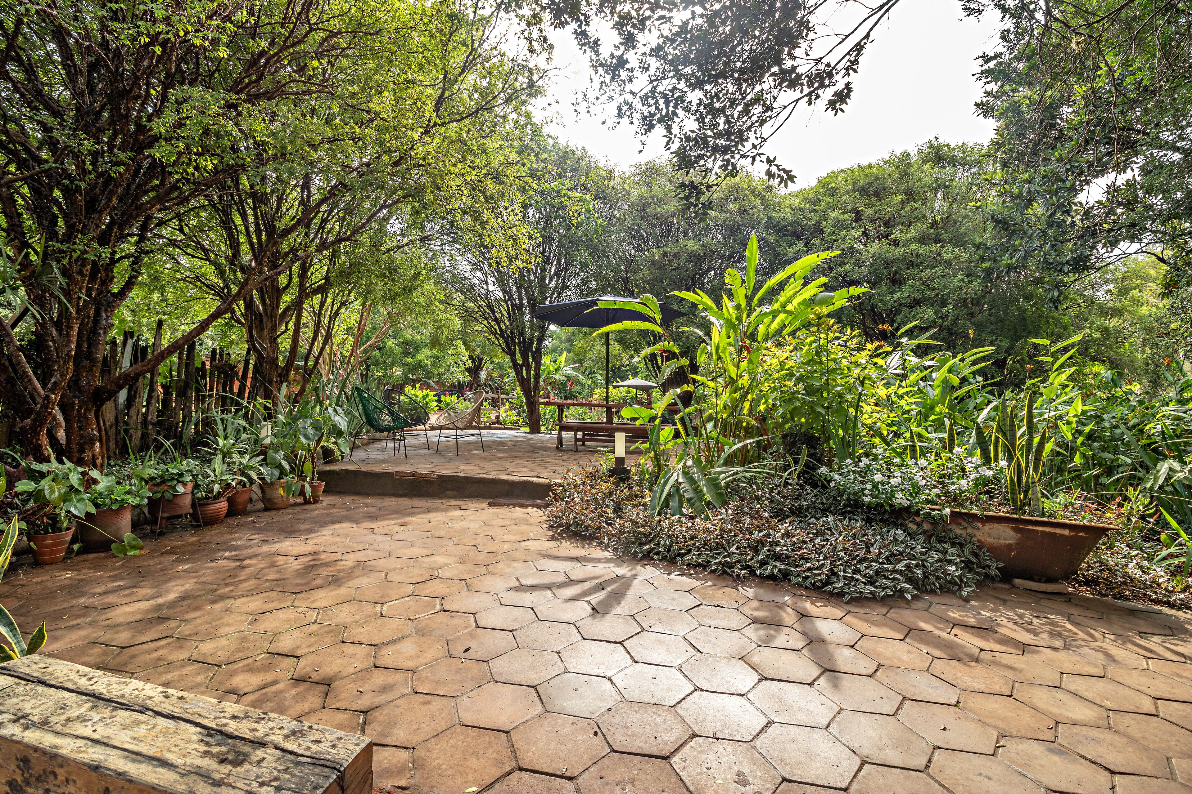 A paved garden area with hexagonal tiles, surrounded by various potted plants and trees.