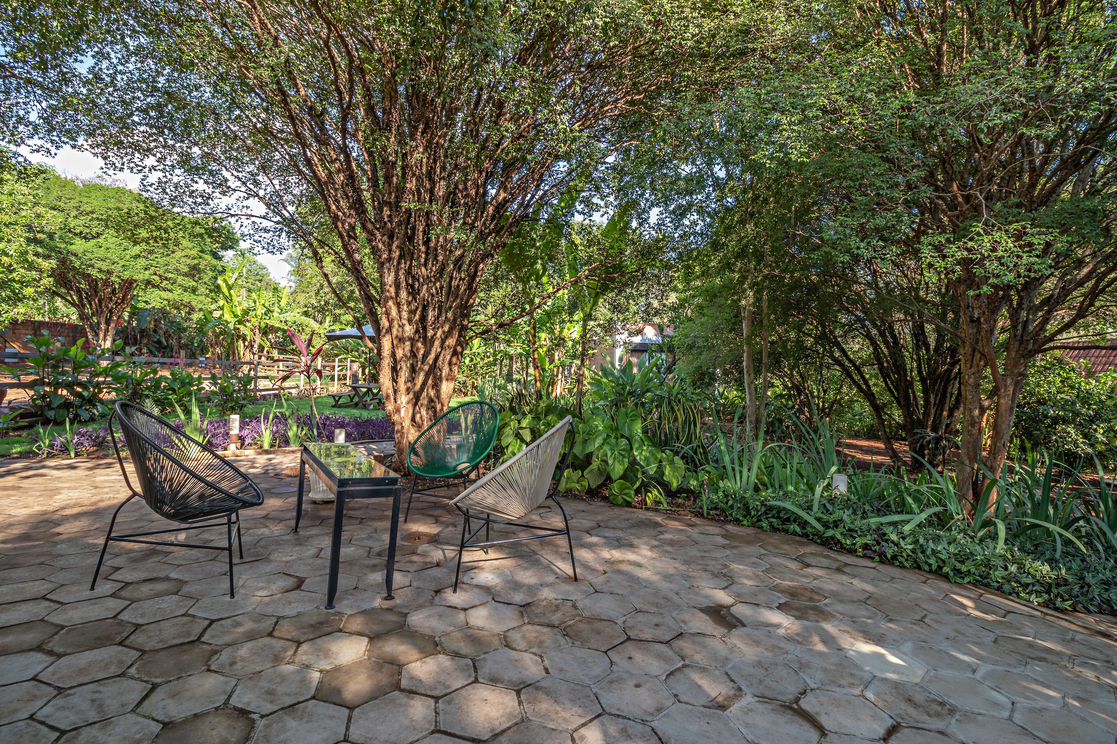 An outdoor seating area with hexagonal stone tiles, surrounded by lush greenery and trees.